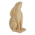Sainsbury's Home Botanist Rabbit Objet