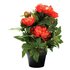 Argos Home Faux Coral Peony In Plastic Pot