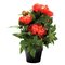 Argos Home Faux Coral Peony In Plastic Pot