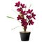 Argos Home Faux Cymbidium in Plastic Pot - Dark Pink