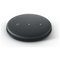 Amazon Echo Input - Black