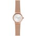 Skagen Rose Gold Coloured Ladies Stainless Steel Watch