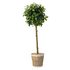 Argos Home Faux Rounded Bay Tree in Wooden Pot