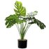 Argos Home Faux Cheese Plant in Plastic Pot