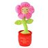 Argos Home Animated Flower