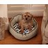 Pet Brands Snoooz Orthopedic Medium Dog Bed