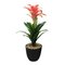 Argos Home Rainforest Faux Star Scarlet Tropical Plant