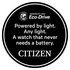 Citizen Mens Silver Titanium Bracelet Watch