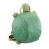 Adventure Is Out There Tortoise Backpack