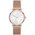 DKNY NY2743 Rose Gold Mesh Strap Watch