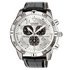 Citizen Eco-Drive Men's Black Strap Perpetual Calendar Watch