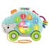 Fisher-Price Linkimals Happy Shape Hedgehog Musical Baby Toy