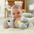 FisherPrice Soothe n Snuggle Otter Baby Toy 