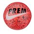 Nike Premier League Pitch Size 5 Football