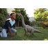 Jurassic World Super Colossal Brachiosaurus