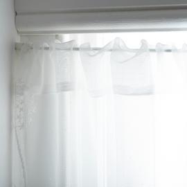 Habitat Dandelions Floral Net Sheer Curtains