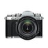 FujifilmXT3 Mirrorless Camera with 1680mm Lens