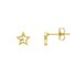 Amelia Grace Open Star Gold Plated Cubic Zirconia Earrings 