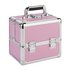 Medium Pink Vanity Case