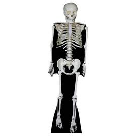 Star Cutouts Skeleton Cardboard Cutout
