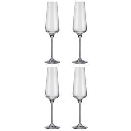 Habitat Dalston Set of 4 Champagne Flutes