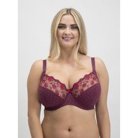 DD+ Ivory Two Tone Embroidered Bra