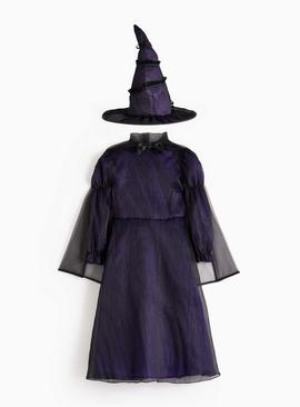 Wicked Elphaba Dress & Hat Fancy Dress Costume