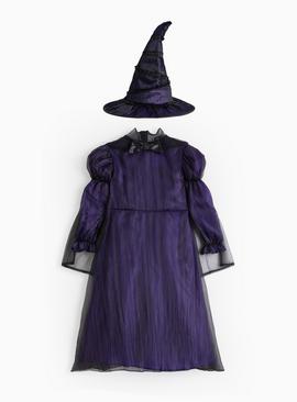 Wicked Elphaba Fancy Dress Costume