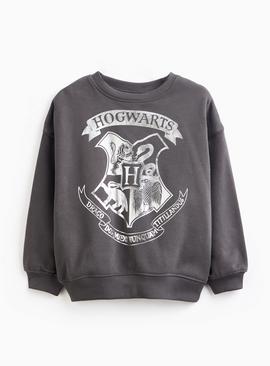 Harry Potter Charcoal Character Print Sweatshirt