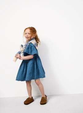 Blue Gingham Chambray Dress
