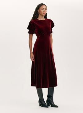 FINERY Mela Velvet Dress Burgundy