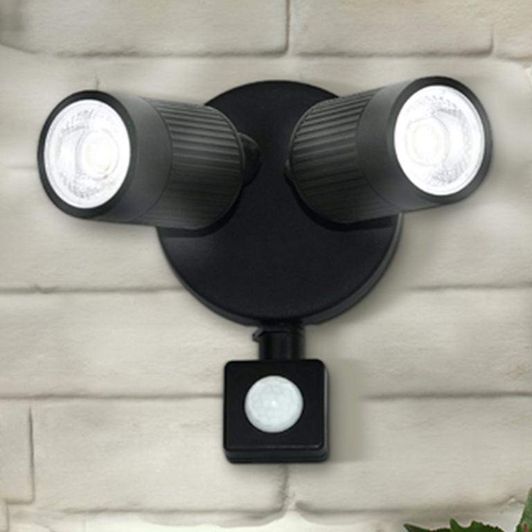 Image of a wall security light.