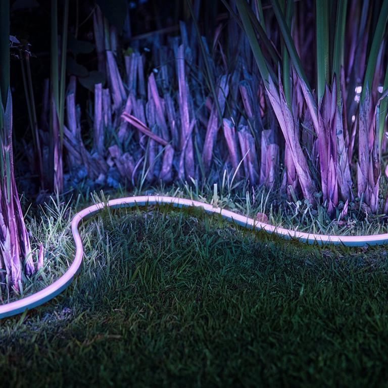Image of purple smart outdoor rope lights.