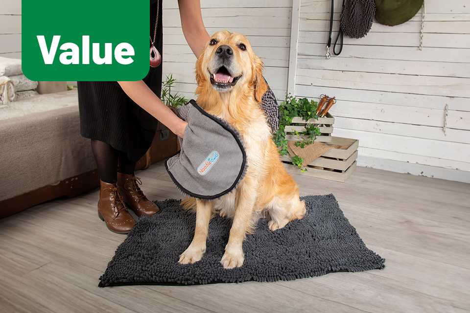 Pet Supplies Pet Shop Argos