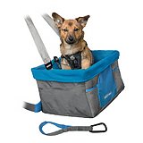 Travelling with your dog.