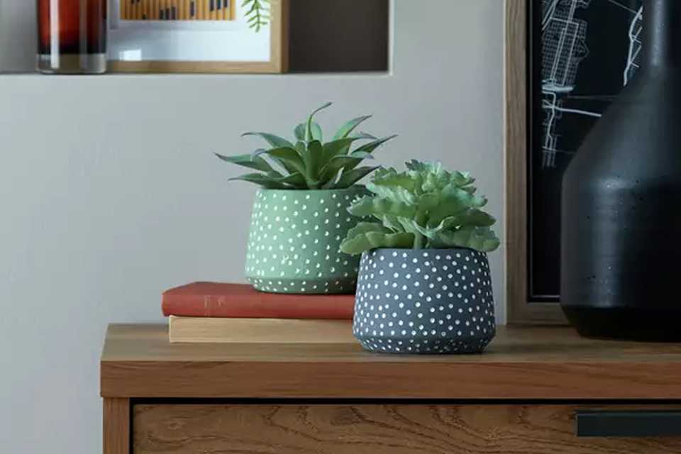 Two faux succulents in two spotted pots on a sideboard.