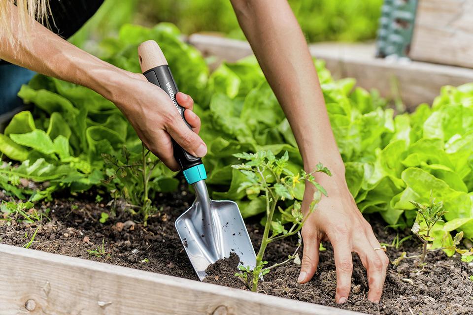 Weeding Tools For Your Garden