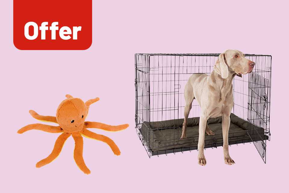 Best place to hot sale buy pet supplies