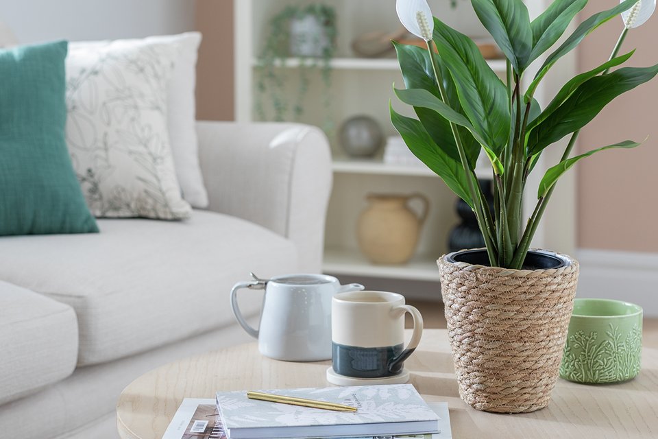 Habitat Artificial White Large Peace Lily Plant - 51cm.