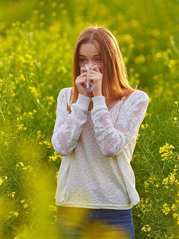 Dyson Air purifiers Argos