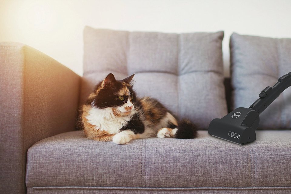 Hoover H-ENERGY 300 pets bagged cylinder vacuum cleaner.