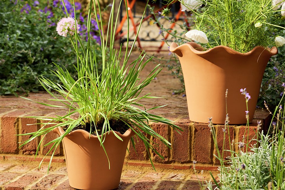 Habitat Scalloped 21cm Clay Planter – Small.