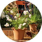 Habitat Scalloped 28.5cm Clay Planter – Large.