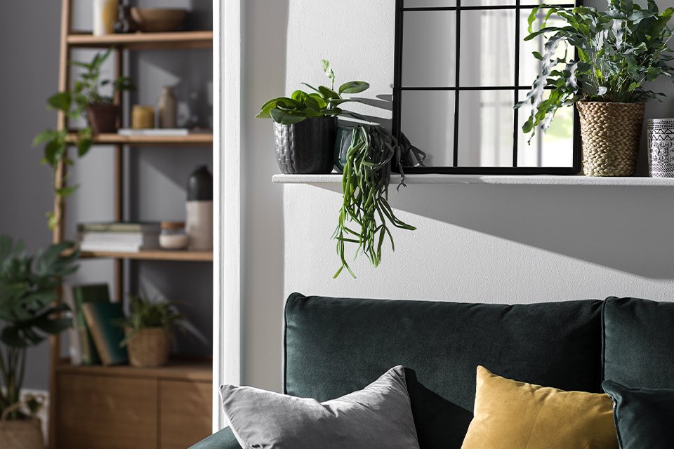Living room with mirror and plants on mantelpiece and a green velvet sofa.