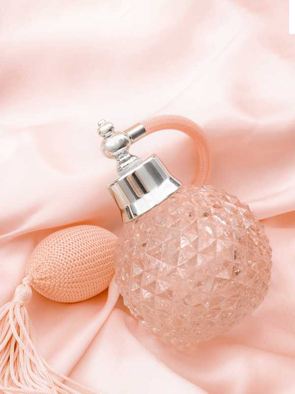 Argos discount daisy perfume