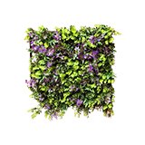 Garden trellis & panels.