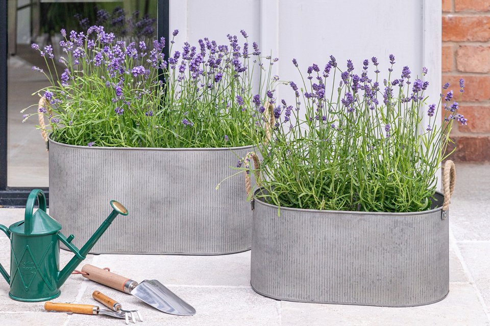 Ivyline Outdoor Galvanised Rope Handle Trough - Set of 2.