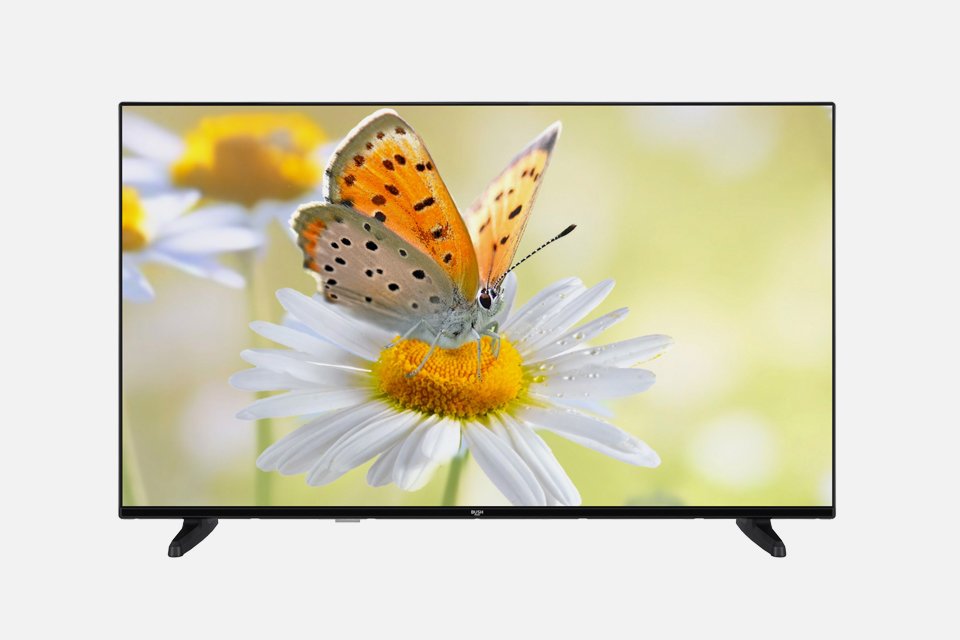 Bush 4K TV with butterfly on a flower screensaver. 