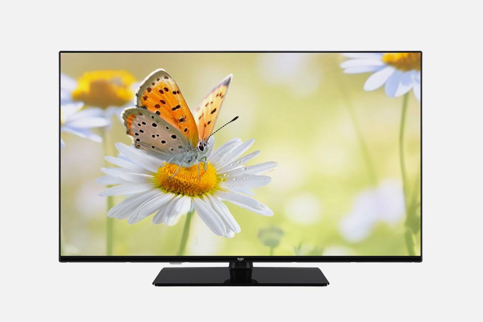 Bush Full HD TV with butterfly on a flower screensaver. 