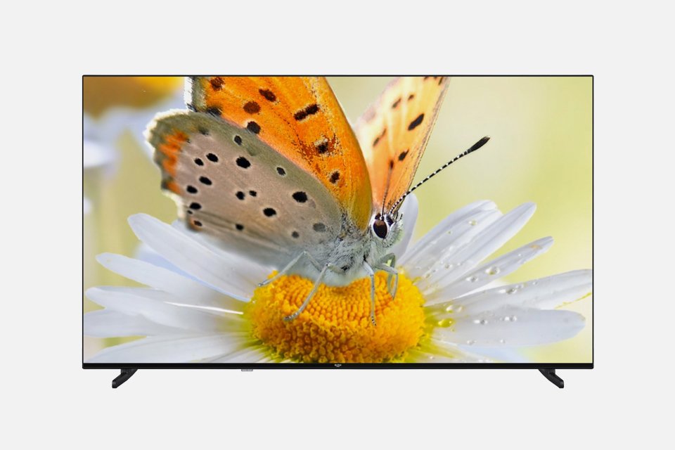 Bush QLED TV with butterfly on a flower screensaver. 
